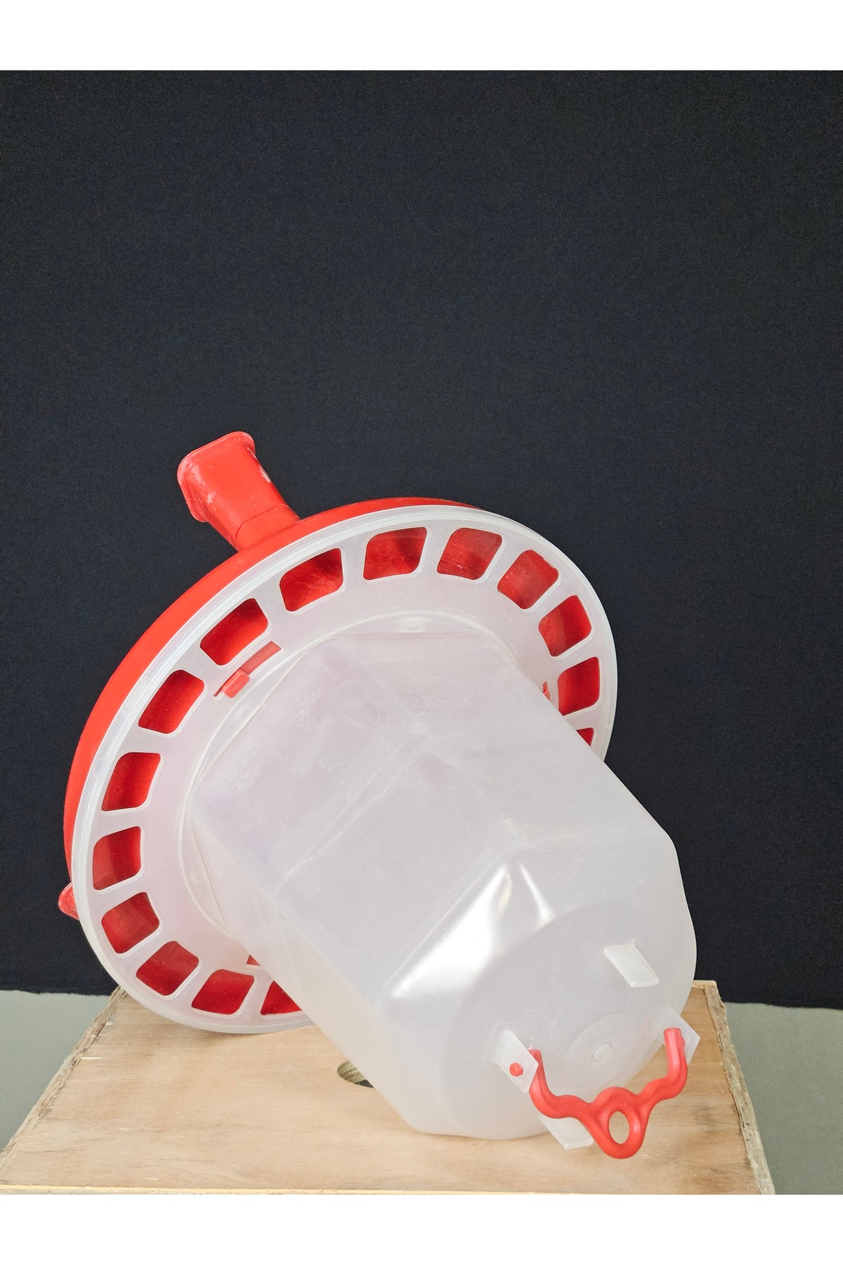 10L SULUK GÜVERCİN TAVUK VS küçük görsel