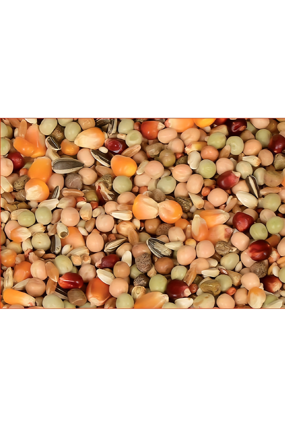 Tippler Güvercin yemi yeni tarih ve yeni mahsül küçük görsel