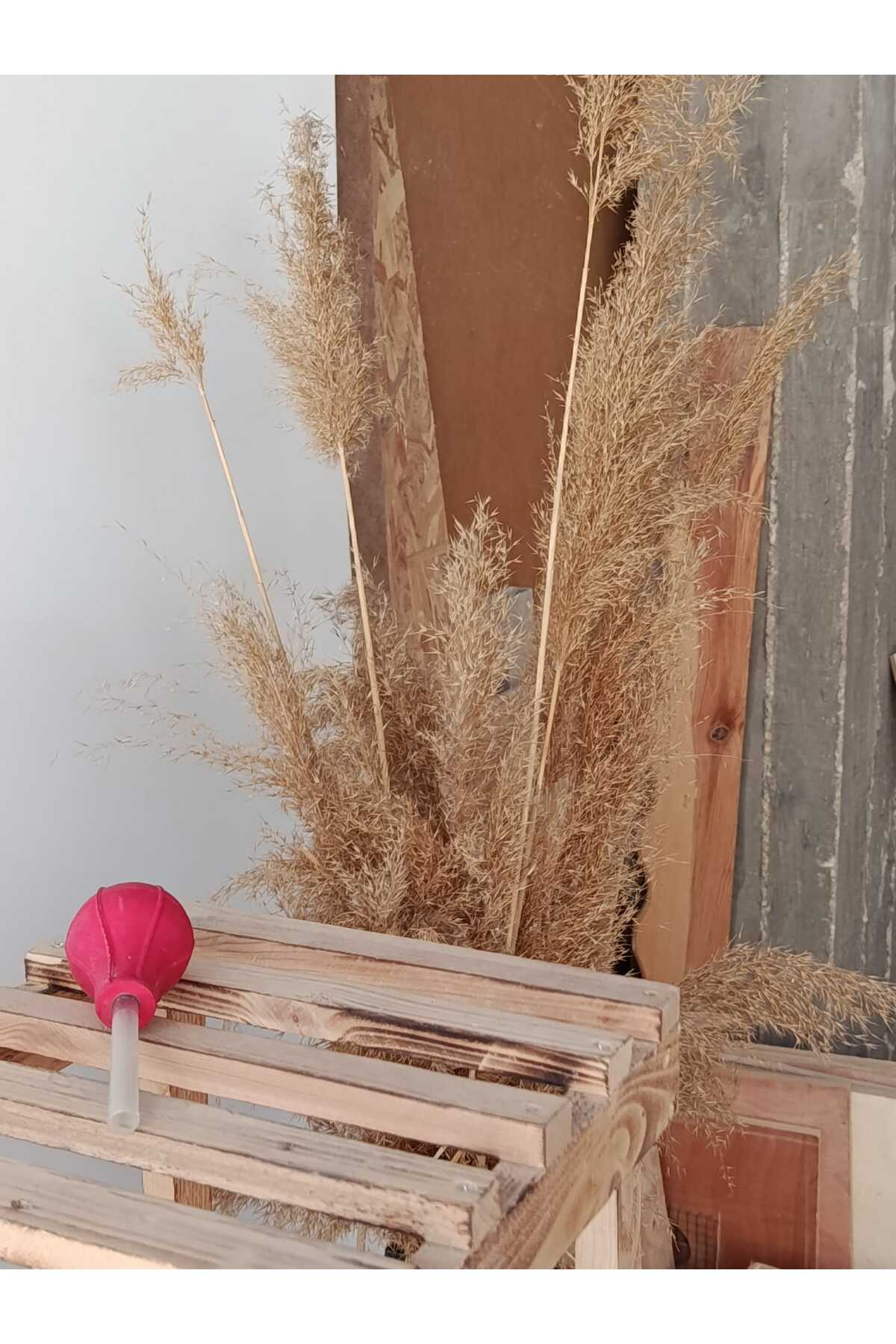 GÜVERCİN YEM POMPASI küçük görsel