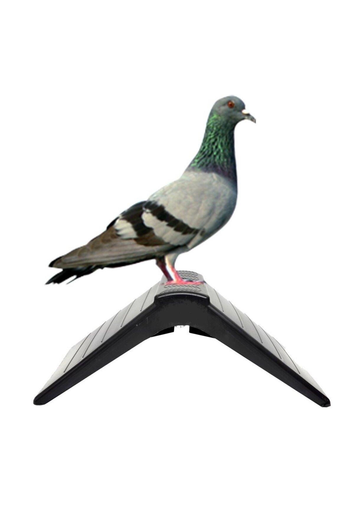 Güvercin Tünek (GENİŞ) küçük görsel