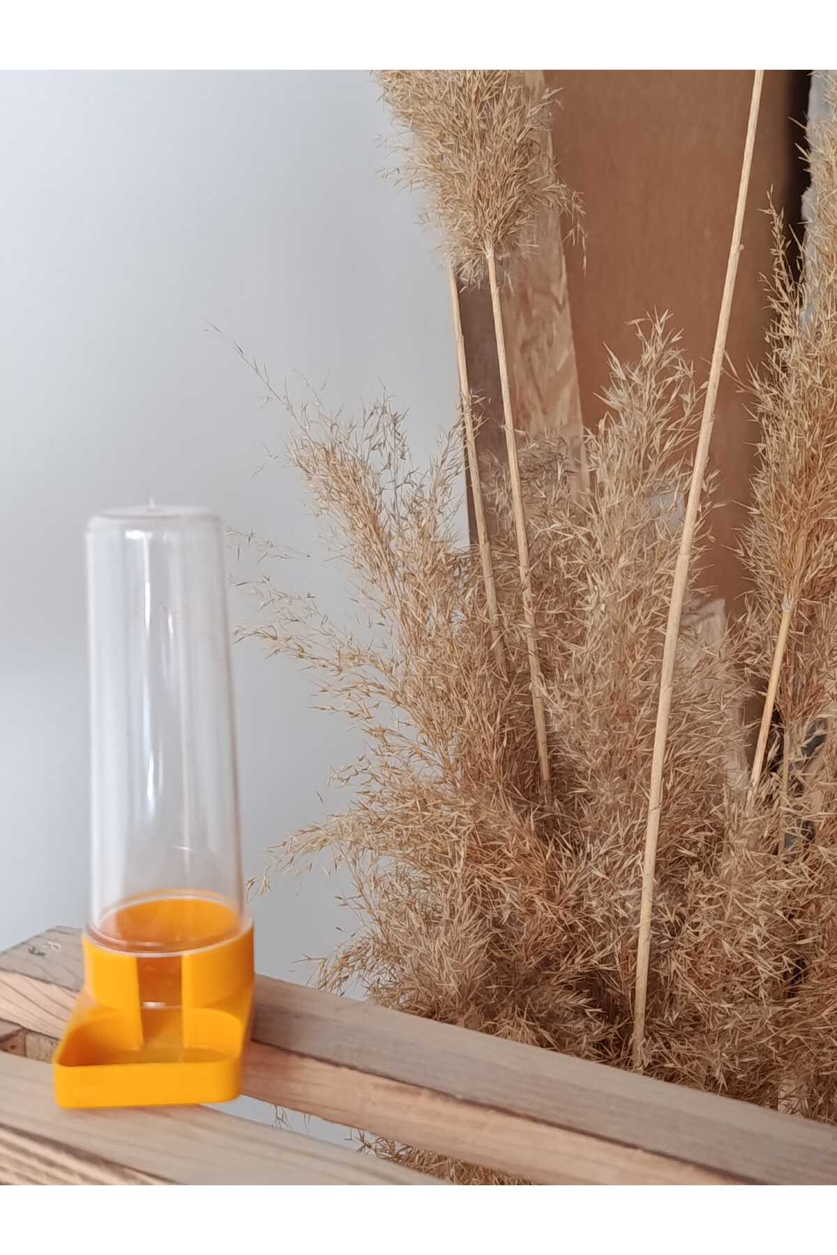 MUHABBET KUŞU SULUK küçük görsel