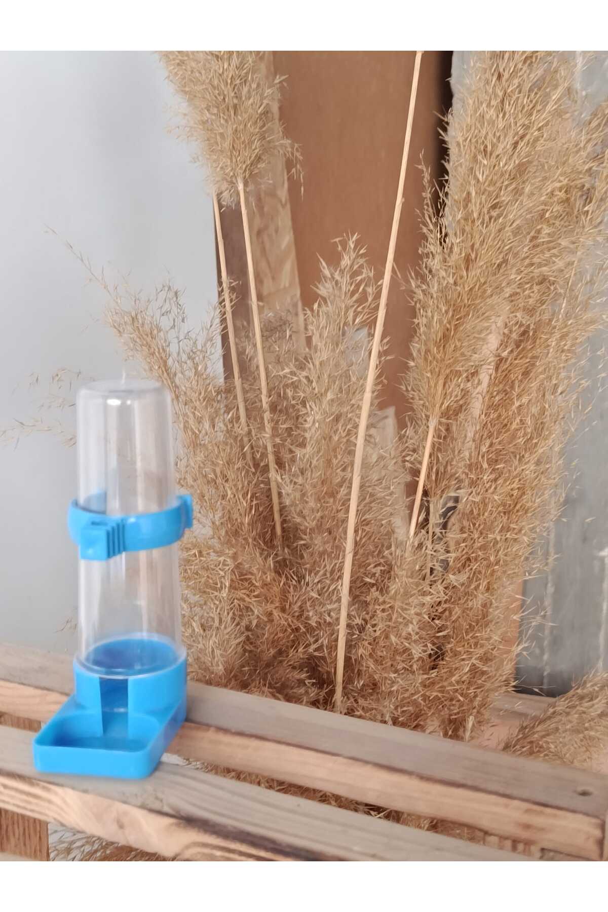 MUHABBET KUŞU SULUK küçük görsel