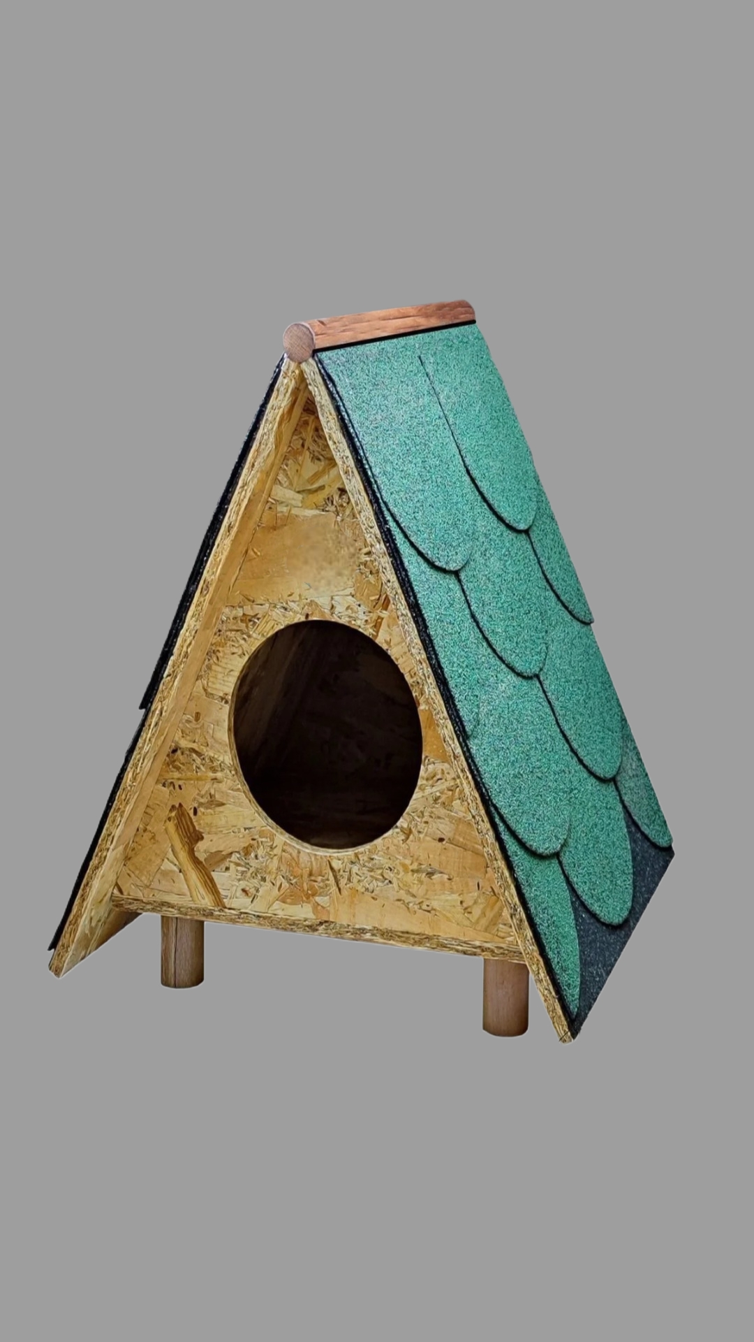 Kedi evi kedi barınağı  villa küçük görsel