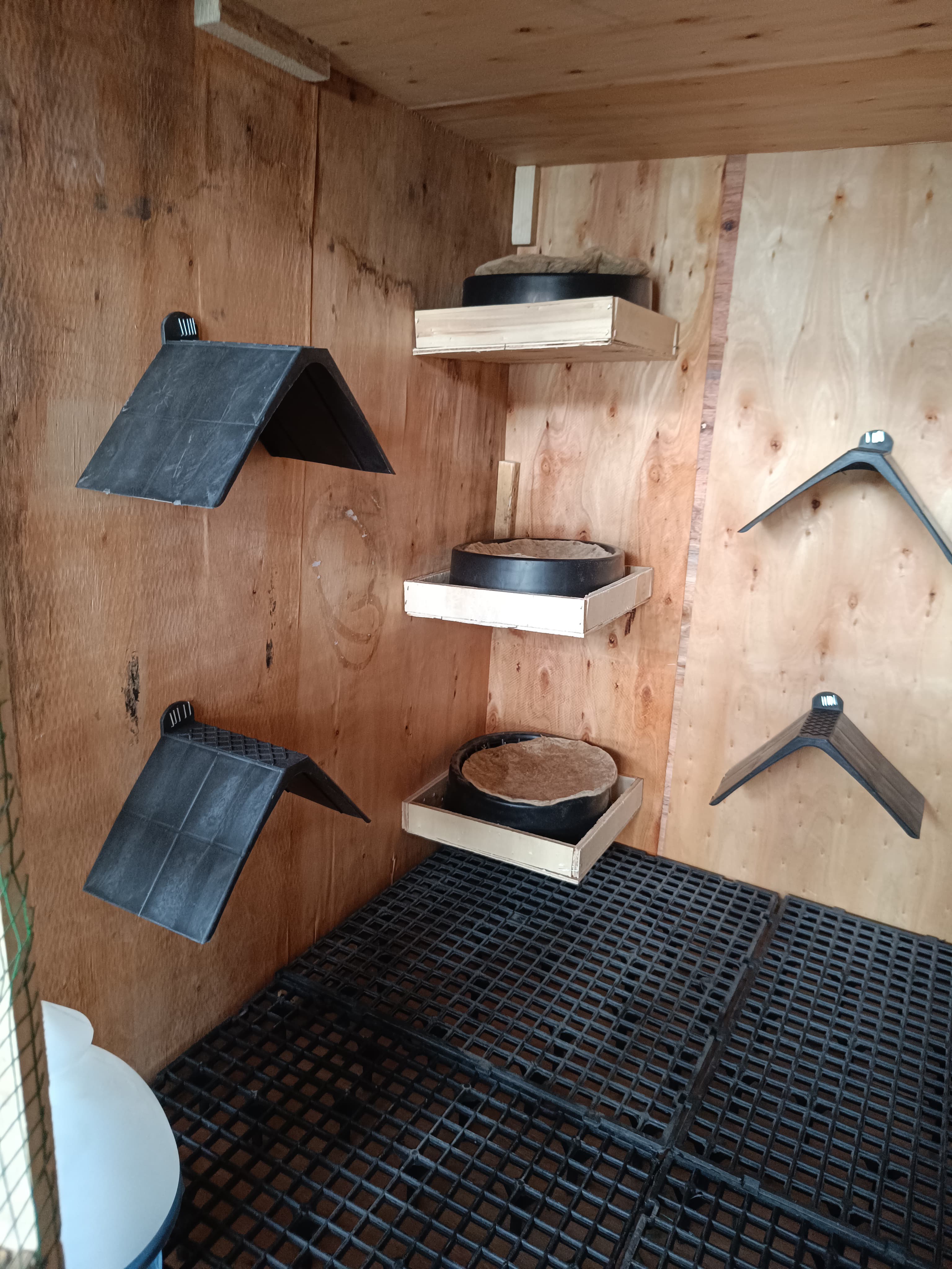 Özel yapım güvercin kümesi  set küçük görsel