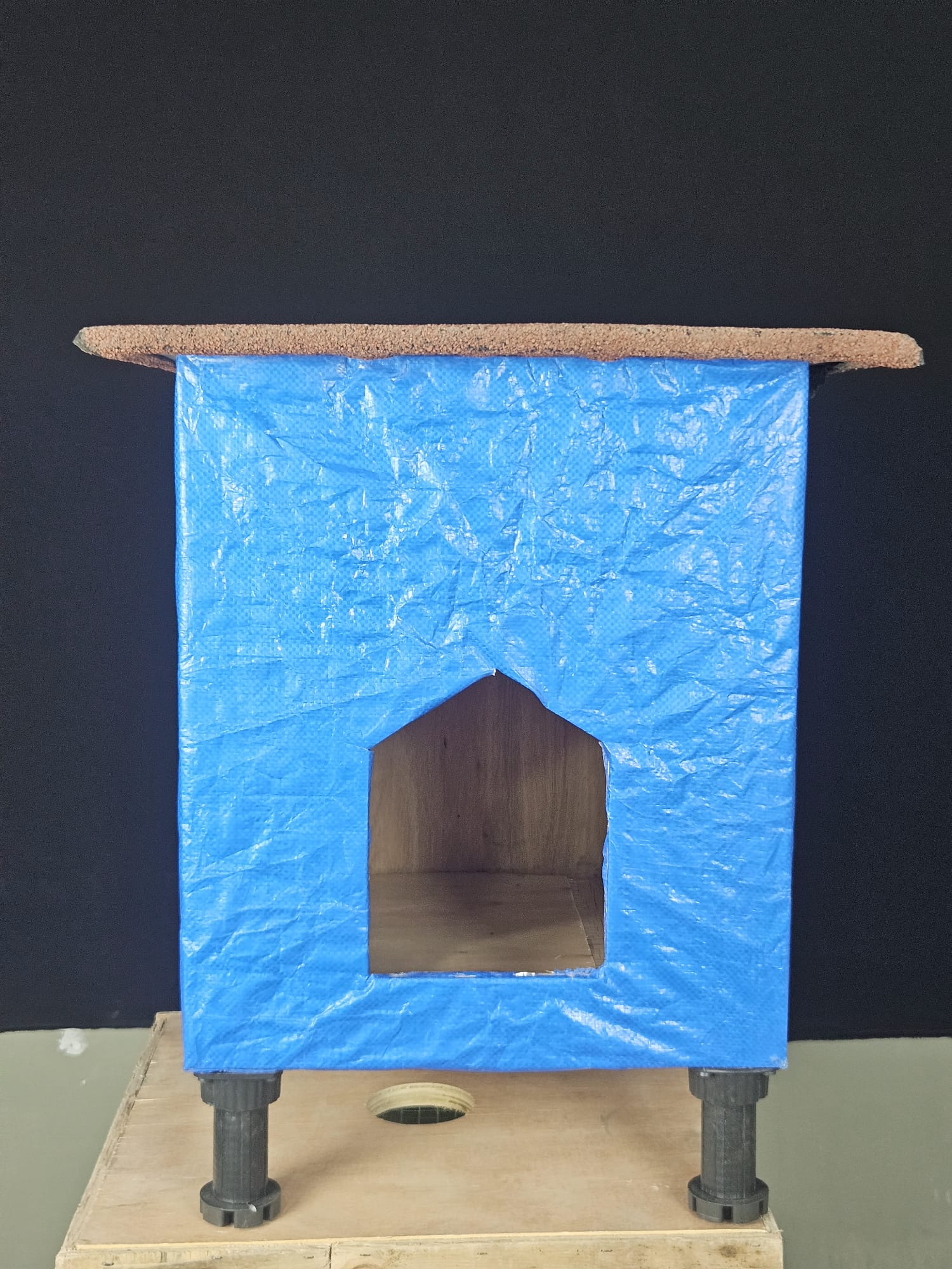 KEDİ EVİ BARINAĞI küçük görsel